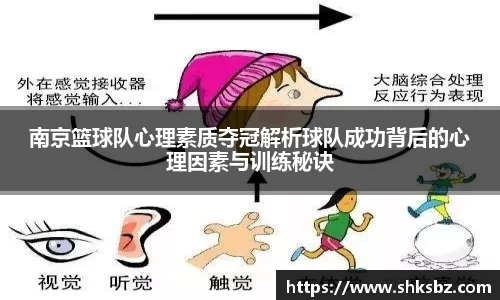 南京篮球队心理素质夺冠解析球队成功背后的心理因素与训练秘诀