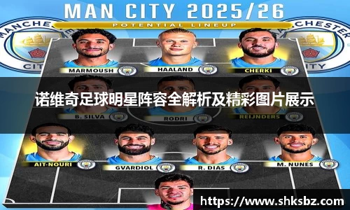 诺维奇足球明星阵容全解析及精彩图片展示